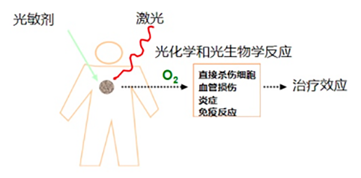 1741831405214434.png 微信图片_20250313100114.png